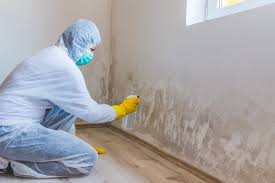 Best Mold Remediation for Healthcare Facilities in Garfield, NJ