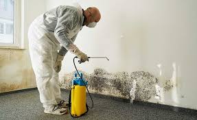 Best Industrial Mold Remediation in Garfield, NJ