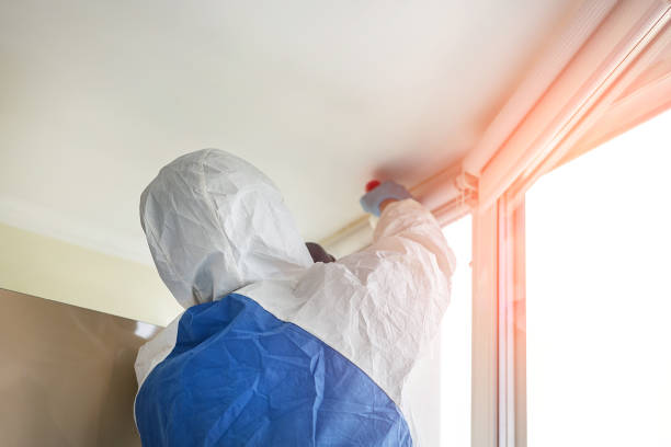 Best Mold Prevention Services in Garfield, NJ