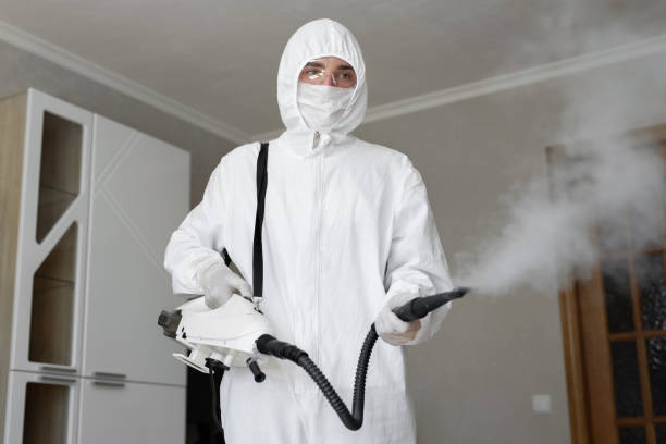 Best Emergency Mold Remediation in Garfield, NJ